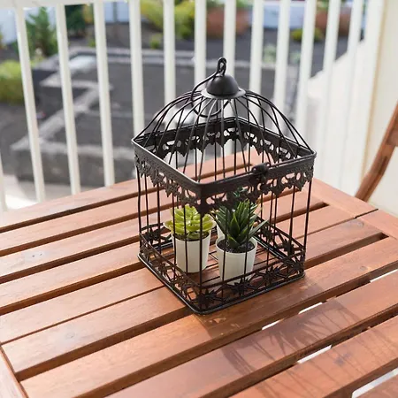 Homeforguest Sunset Senator With Pool And Terrace In